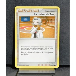 carte Pokémon 90/111 La chaleur de Terry Platine Rivaux Émergents NEUF FR
