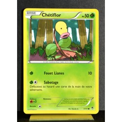 carte Pokémon 1/111 Chétiflor 50 PV XY03 Poings Furieux NEUF FR