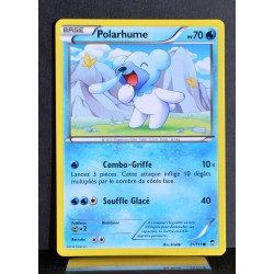 carte Pokémon 21/111 Polarhume 70 PV XY03 Poings Furieux NEUF FR