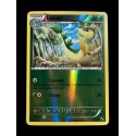 carte Pokémon 3/114 Lianaja 80 PV - REVERSE Noir & Blanc NEUF FR