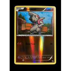 carte Pokémon 58/114 Charpenti 60 PV - REVERSE Noir & Blanc NEUF FR