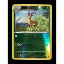 carte Pokémon 14/114 Haydaim 90 PV - REVERSE Noir & Blanc NEUF FR