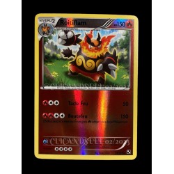 carte Pokémon 19/114 Roitiflam 150 PV SUPER RARE - REVERSE Noir & Blanc NEUF FR