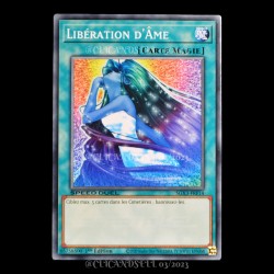 carte YU-GI-OH SGX3-FRF14 Libération d'Âme NEUF FR