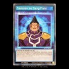 carte YU-GI-OH SGX3-FRS19 Cold-Blooded Tactician (Skill) NEUF FR