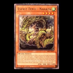 carte YU-GI-OH RIRA-FR015 Esprit Tenyi - Nahata 