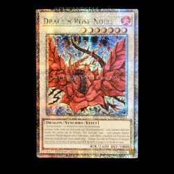 carte YU-GI-OH TN23-FR014 Dragon Rose Noire QCSE