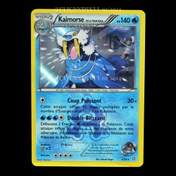carte Pokemon Kaimorse Team Aqua 5/34 Double Danger FR