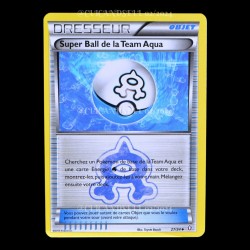 carte Pokemon Super Ball Team Aqua 27/34 Double Danger FR
