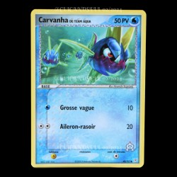 carte Pokemon Carvanha 48/95 EX Magma VS Aqua FR