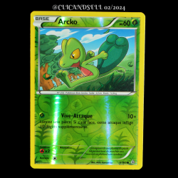 carte Pokémon 6/160 Arcko 60 PV REVERSE Série XY05 - Primo Choc
