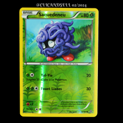 carte Pokémon 4/160 Saquedeneu 80 PV REVERSE Série XY05 - Primo Choc