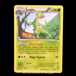 carte Pokémon 8/160 Jungko 130 PV Série XY05 - Primo Choc