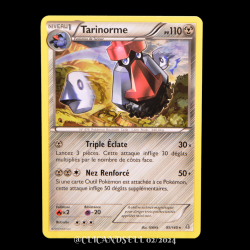 carte Pokémon 95/160 Tarinorme 110 PV Série XY05 - Primo Choc