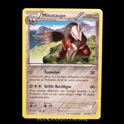 carte Pokémon 96/160 Minotaupe 100 PV Série XY05 - Primo Choc