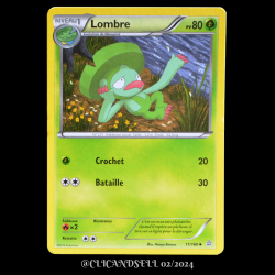 carte Pokémon 11/160 Lombre Série XY05 - Primo Choc