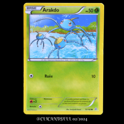 carte Pokémon 13/160 Arakdo Série XY05 - Primo Choc
