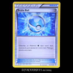 carte Pokémon 125/160 Scuba Ball Série XY05 - Primo Choc