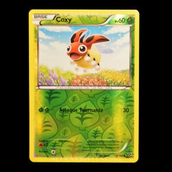 carte Pokemon Coxy REVERSE 6/146 XY FR