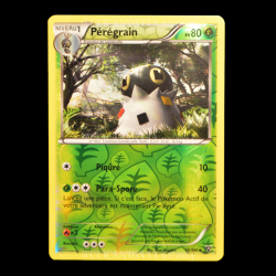 carte Pokemon Pérégrain REVERSE 16/146 XY FR