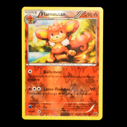 carte Pokemon Flamoutan REVERSE 23/146 XY FR