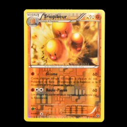 carte Pokemon Triopikeur REVERSE 59/146 XY FR