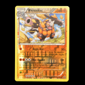 carte Pokemon Rhinastoc REVERSE 62/146 XY FR