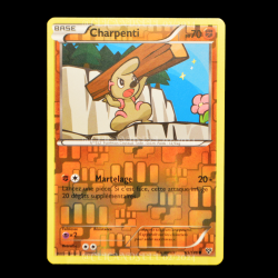 carte Pokemon Charpenti REVERSE 65/146 XY FR