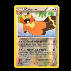 carte Pokemon Castorno REVERSE 107/146 XY FR