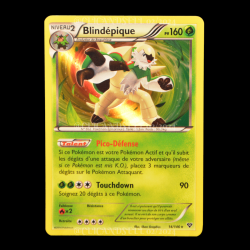 carte Pokemon Blindépique 14/146 XY FR