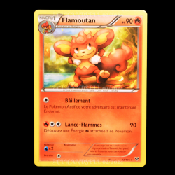 carte Pokemon Flamoutan 23/146 XY FR