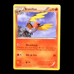 carte Pokemon Braisillon 27/146 XY FR