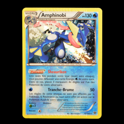 carte Pokemon Amphinobi 41/146 XY FR