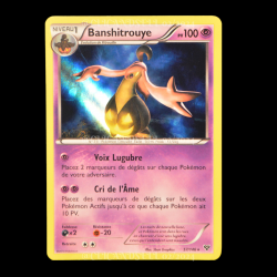 carte Pokemon Banshitrouye 57/146 XY FR