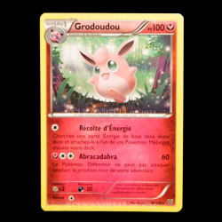 carte Pokemon Grodoudou 89/146 XY FR