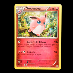 carte Pokemon Grodoudou 90/146 XY FR
