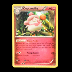 carte Pokemon Cupcanaille 95/146 XY FR