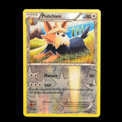 carte Pokemon Ponchien REVERSE 109/146 XY FR